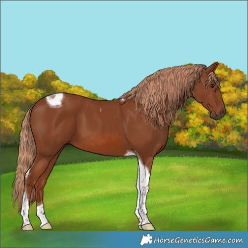 Horse Color:Chestnut Tobiano 