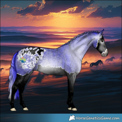 Horse Color:Gray Watercolor Blue Ice Roan Splash Appaloosa 
