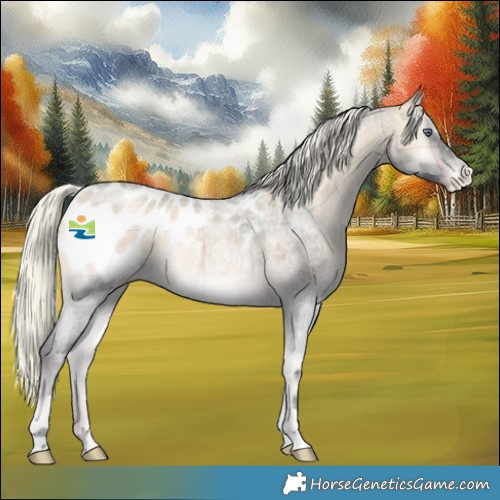 Horse Color:Plaid  Silver Bay Chinchilla Roan Onyx Blanket 