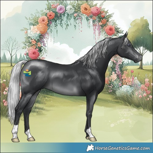 Horse Color:Silver Brown Chinchilla 