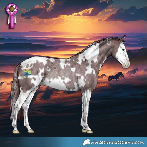 Horse Color:White Spotted Chocolate Smoky Blue Roan Splash Rabicano