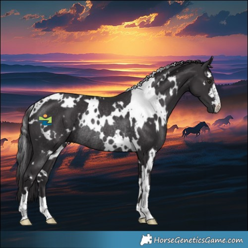 Horse Color:White Spotted Smoky Black Chinchilla Rabicano