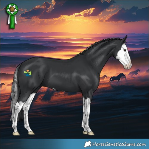 Horse Color:Black Chinchilla Splash