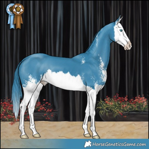 Horse Color:Watercolor Black Sabino Splash 
