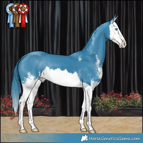 Horse Color:Watercolor Black Sabino Splash 