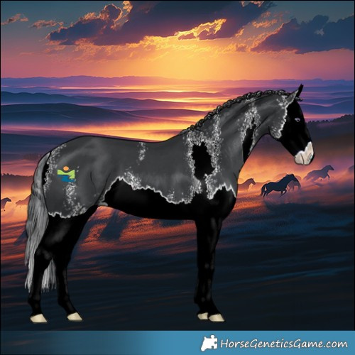 Horse Color:Black Chinchilla Sabino Splash