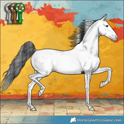 Horse Color:White Spotted Black Splash Near Fewspot 