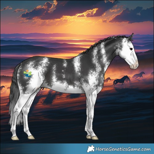 Horse Color:Black Sabino Splash