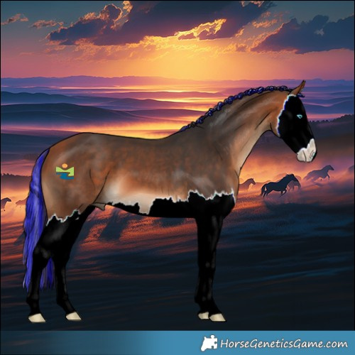 Horse Color:Painted Bay Splash 