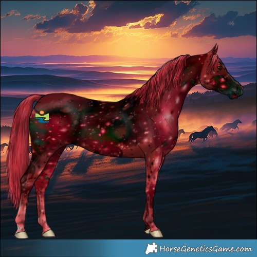 Horse Color:ERROR: UNKNOWN ANOMALY