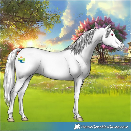 Horse Color:Platinum White Spotted Red Dun Chinchilla Rabicano 