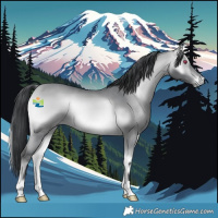 Horse Color:Platinum Bay Chinchilla Onyx 