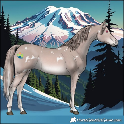 Horse Color:Platinum White Spotted Chestnut Rabicano 