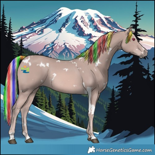 Horse Color:Platinum Painted White Spotted Chestnut Rabicano 