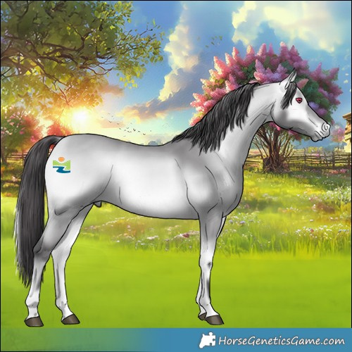 Horse Color:Platinum Buckskin Chinchilla Onyx 