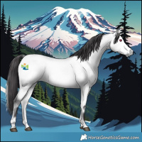 Horse Color:Platinum Buckskin Chinchilla Onyx 