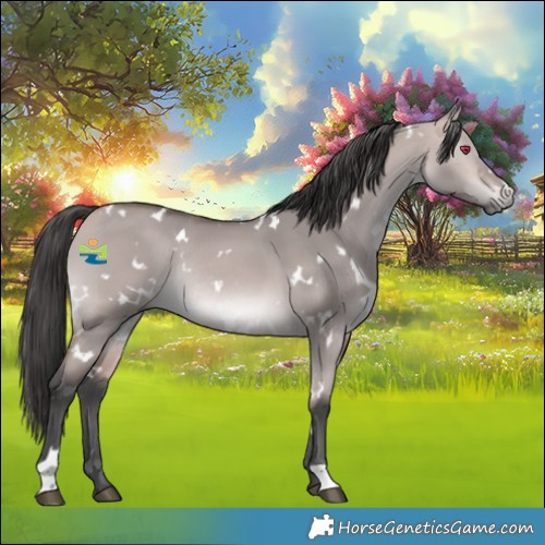 Horse Color:Platinum White Spotted Bay Dun Rabicano 