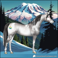 Horse Color:Platinum White Spotted Buckskin Onyx Rabicano 