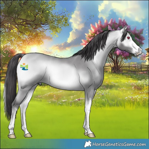 Horse Color:Platinum White Spotted Buckskin Chinchilla Onyx 