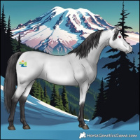Horse Color:Platinum Buckskin Chinchilla Dun 