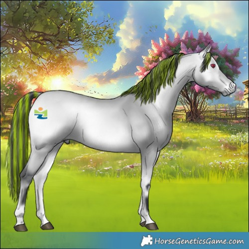 Horse Color:Platinum Painted Bay Chinchilla Onyx 
