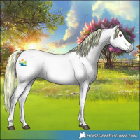 Horse Color:Platinum Painted Red Dun Chinchilla Rabicano 