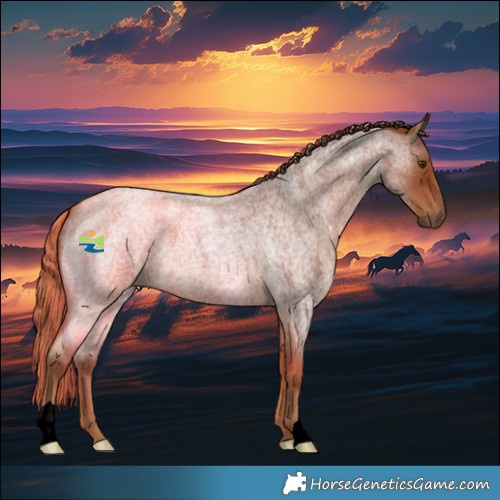 Horse Color:Red Roan 