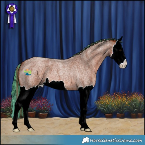 Horse Color:Painted Red Roan Splash 