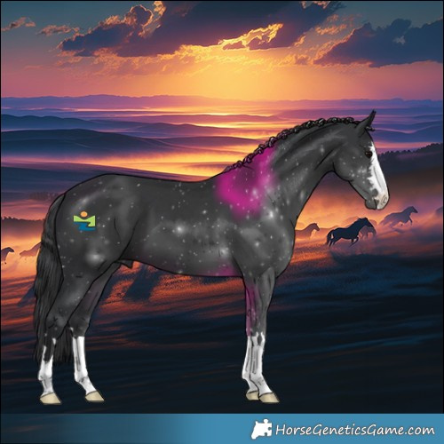Horse Color:Black 