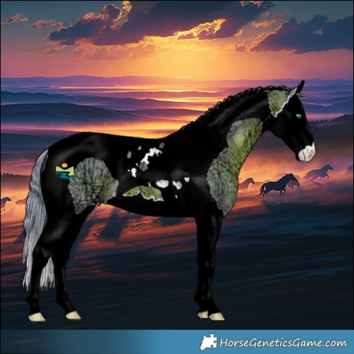 Horse Color:Watercolor Bay Ice Splash Tobiano 