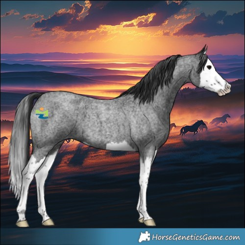Horse Color:Blue Ice Roan Splash 