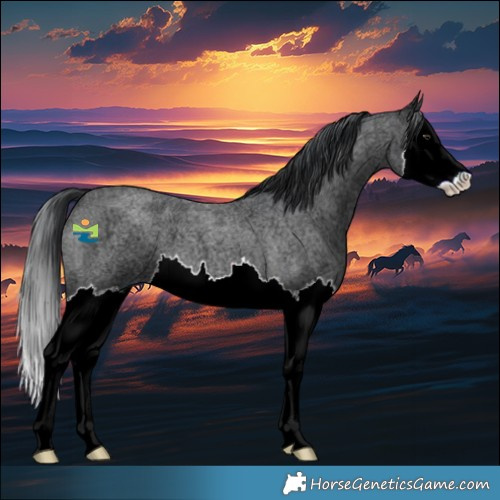 Horse Color:Blue Chinchilla Ice Roan Splash 