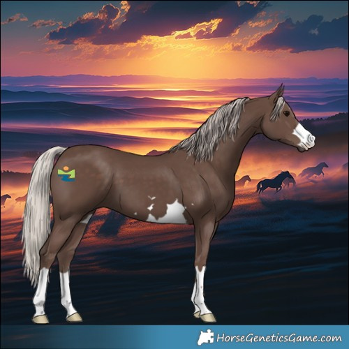 Horse Color:Silver Black 