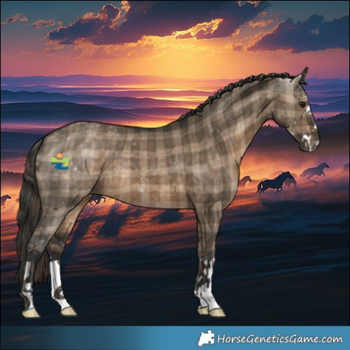 Horse Color:Plaid  Brown Dun 