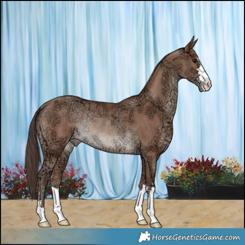 Horse Color:Classic Champagne Ice Rabicano 