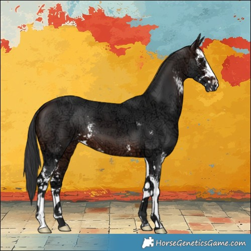 Horse Color:Brown Ice Sabino 