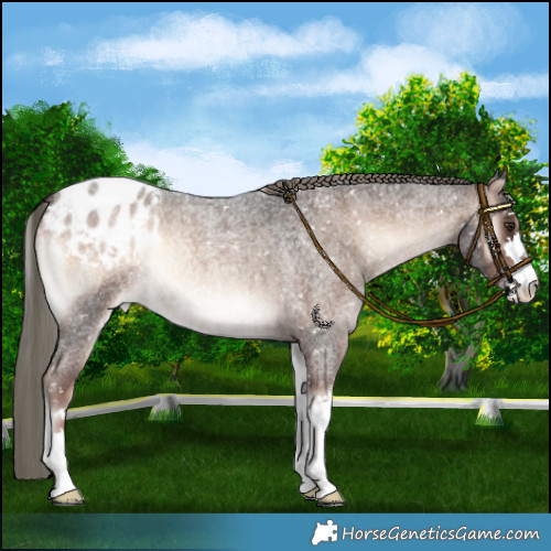 Horse Color:Liver Red Onyx Roan Mushroom Blanket 