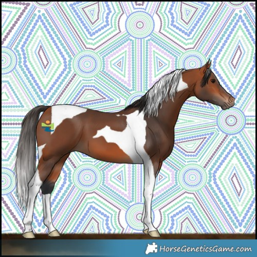 Horse Color:Bay Tobiano 