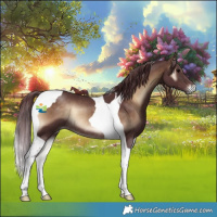 Horse Color:Chocolate Brown Onyx Tobiano Rabicano 