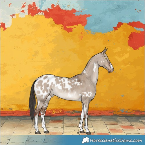 Horse Color:White Spotted Liver Red Dun Appaloosa Rabicano