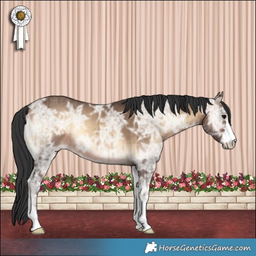 Horse Color:Brown Ice Onyx Brindle 