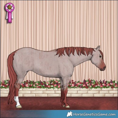 Horse Color:Watercolor Liver Red Dun Brindle 