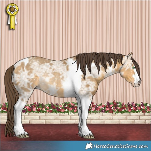 Horse Color:Sable Cream Champagne Ice Tobiano Rabicano 