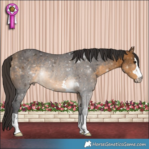 Horse Color:Buckskin Rabicano 