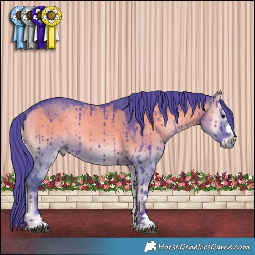 Horse Color:Watercolor Grullo Onyx Brindle 