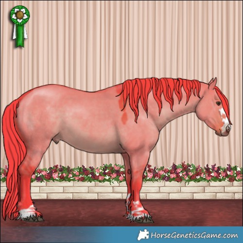 Horse Color:Watercolor Liver Red Dun 