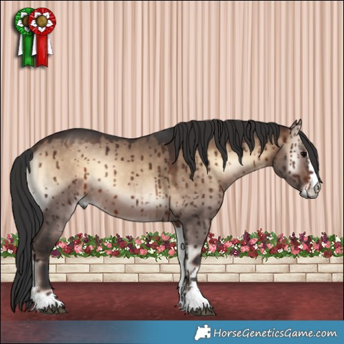 Horse Color:Brown Onyx Brindle 