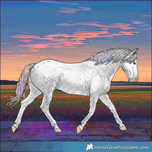 Horse Color:Nacre White Spotted Silver Bay 