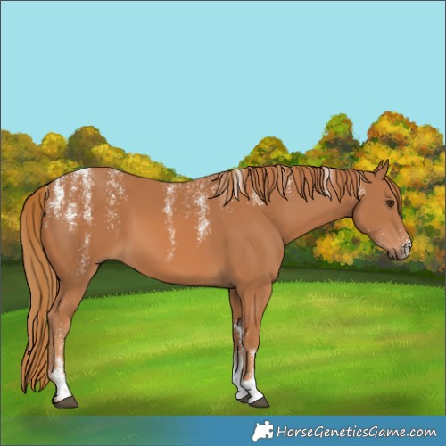 Horse Color:Powder White Chestnut 
