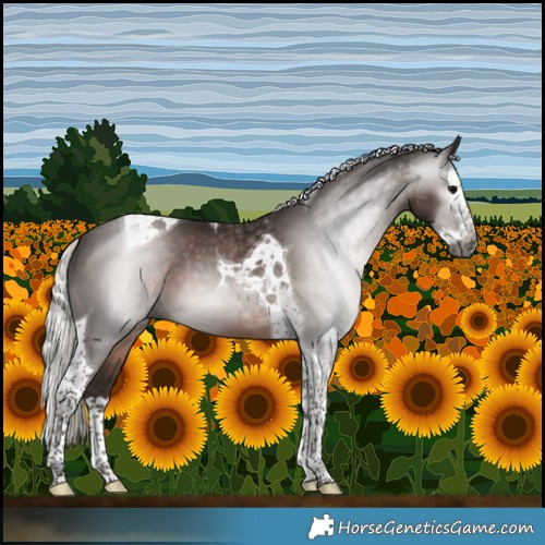 Horse Color:Gray Silver Black Splash Tobiano 